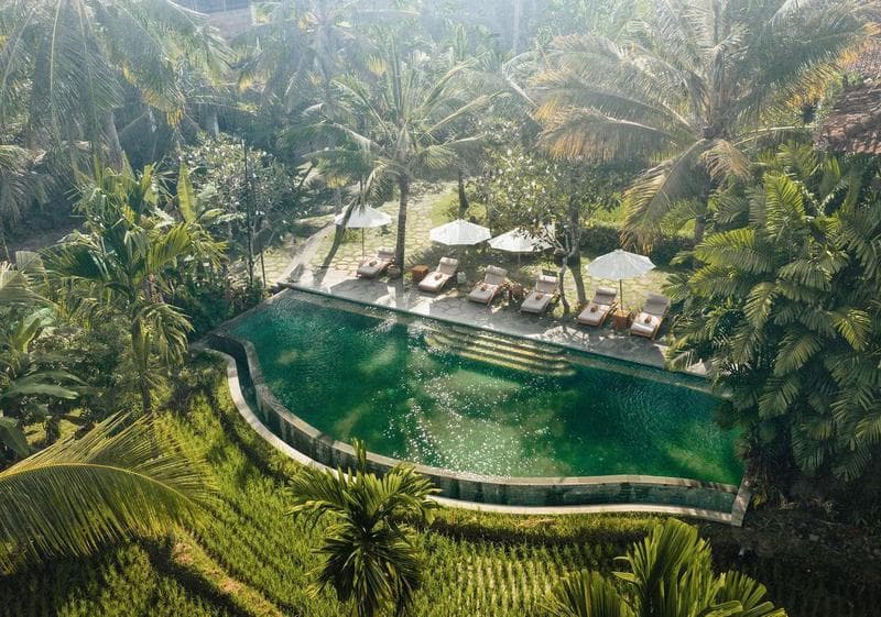 Alaya Resort Ubud