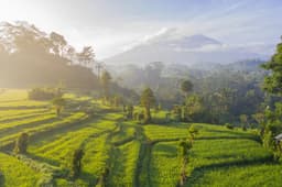 Is Bali a Country, and Is It Third World? Bali FAQs Answered (2026)