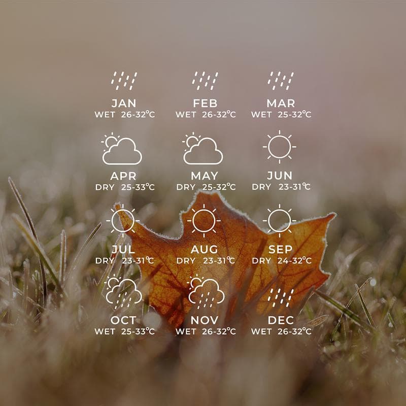 Check Out Bali Weather Forecast