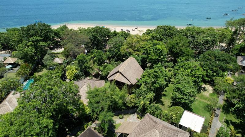 Power of Now Oasis - Health & Wellness Retreats