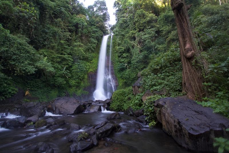 Git Git Waterfall