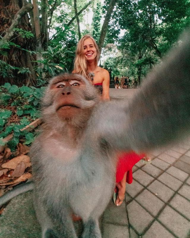 Selfie With Monkeys