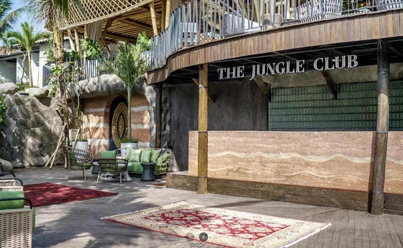 The Jungle Club