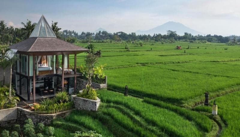 Gdas Bali Health and Wellness Resort