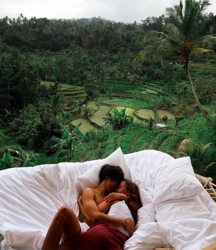 Wake Up In Tropical Rainforest