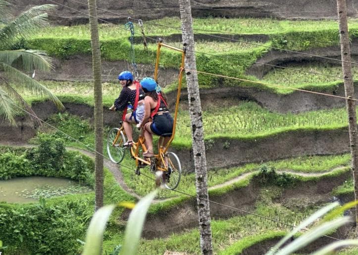 Sky Bike over the Majestic rice fields