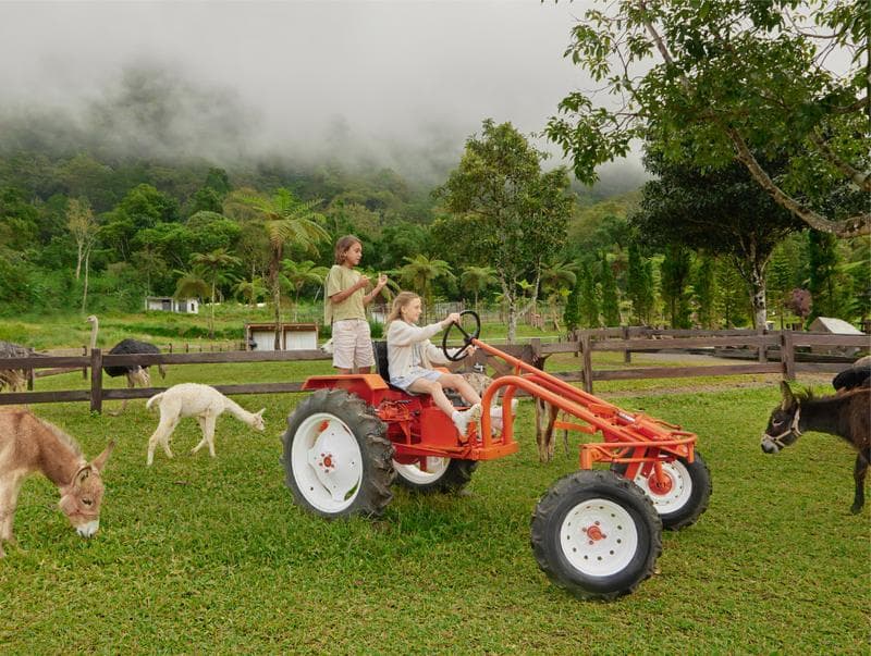 A Day in the Countryside at Bali Farm House