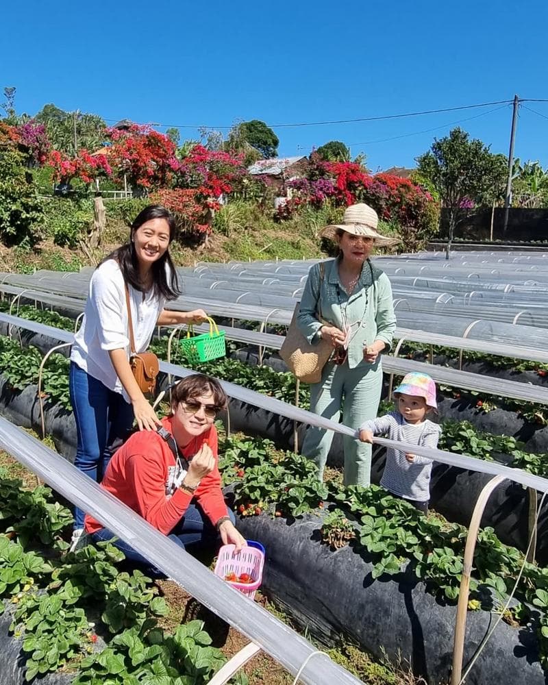 Pick, Plant, and Play at Bali’s Hidden Strawberry Garden
