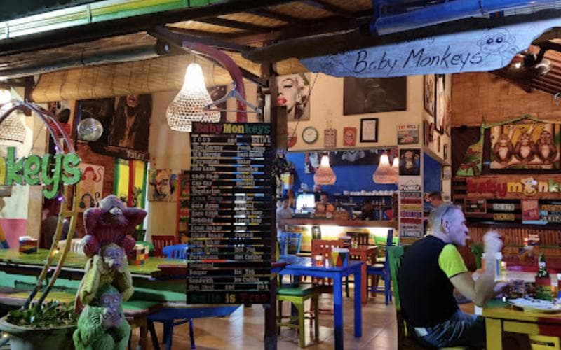 Warung Baby Monkeys