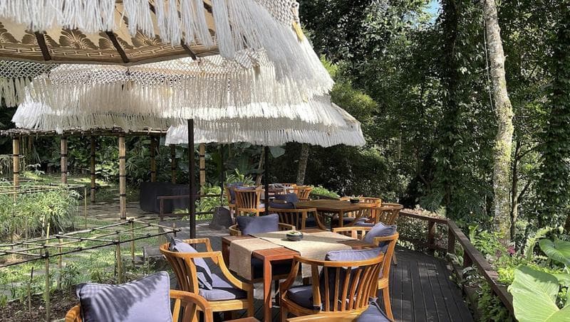 Sawah Terrace at Mandapa