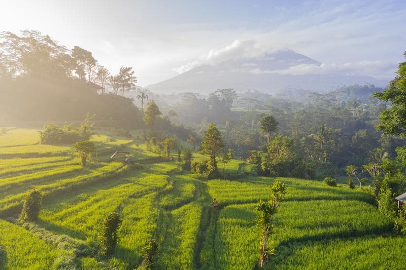 The Ultimate Guide to Bali: Frequently Asked Questions
