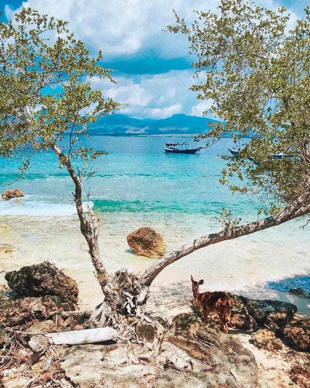 Menjangan / West Bali National Park