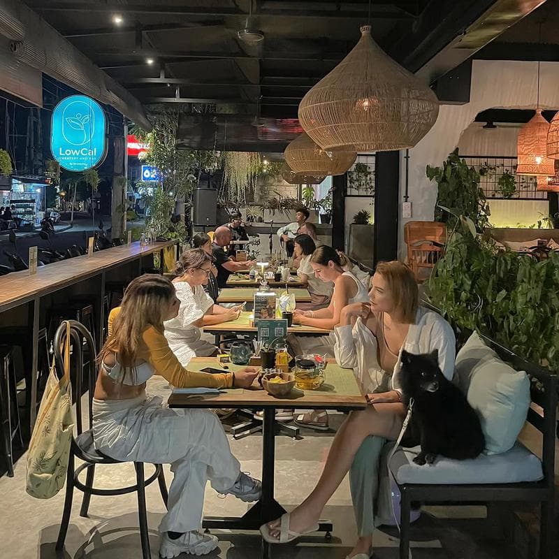 LowCal, Cheatery and Bar