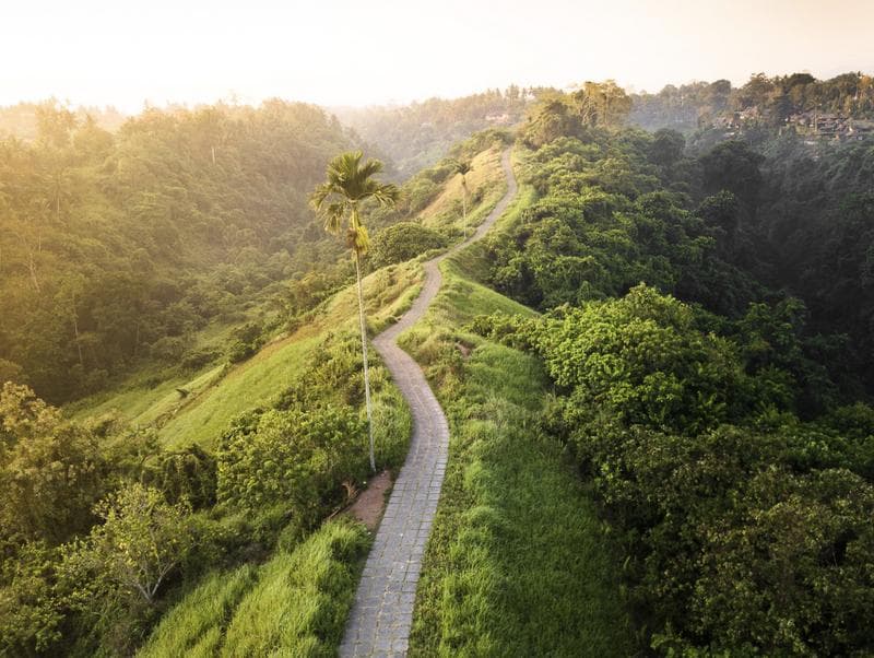Campuhan Ridge Walk