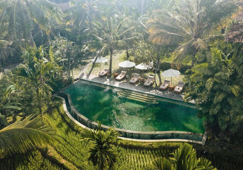 Alaya Resort Ubud - Photo by @alayahotels