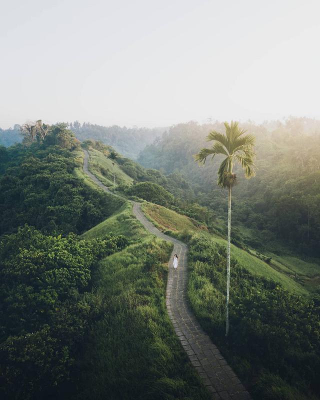 Greenery To More Scenic View - Photo by @jondavidmoore