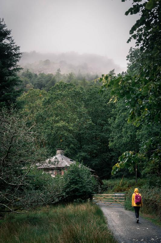 Better Pack Your Raincoat! - Photo by Lukas Hartmann from Pexels