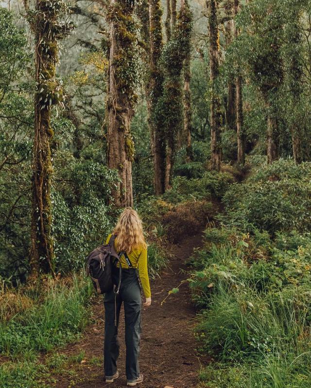 Hiking? Not On Wet Season Dear! - Photo by @konyukhovae