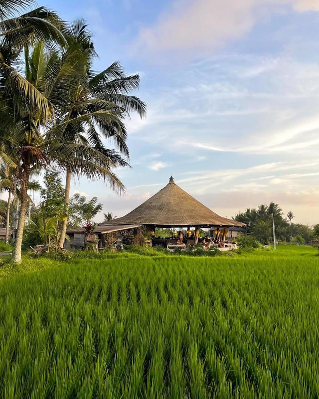 The Best Cafes in Ubud for Your Brunch Fix