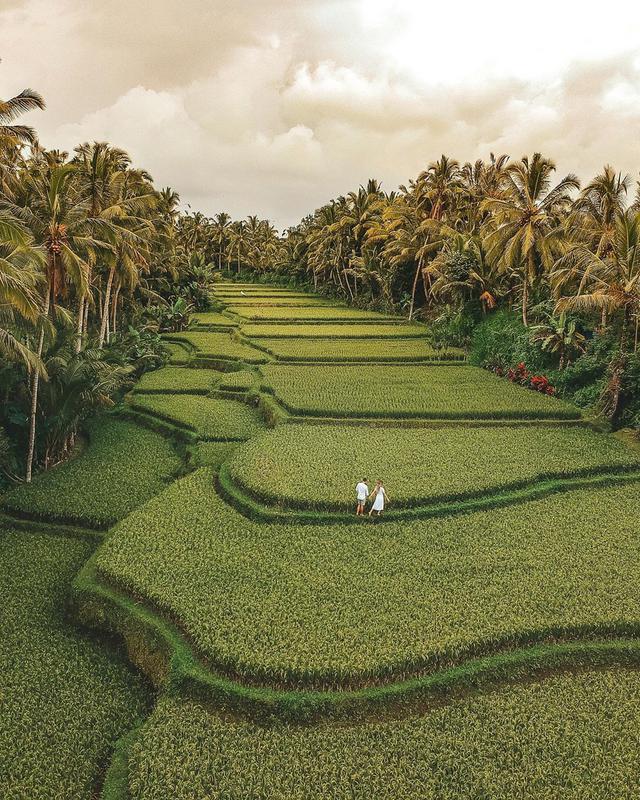 Ubud - Photo by @travelustbyus