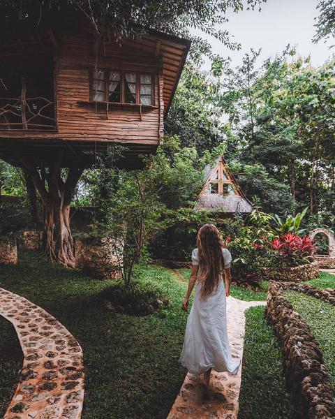 Roots Tree House - Photo by @wanderskyy