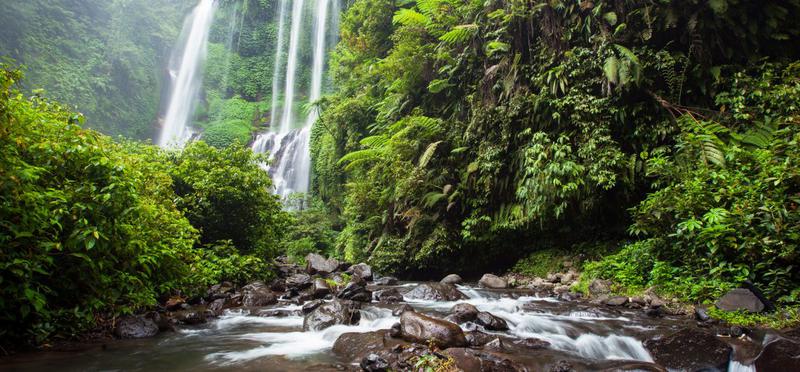 Sekumpul Waterfall - Photo by @thebaliguideline