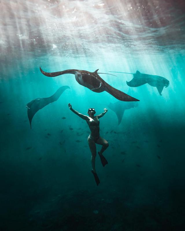 Swimming With Manta Ray - Photo by @brandonverdura
