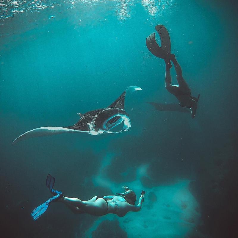 Swimming With Manta Ray - Photo by @benswanderlust