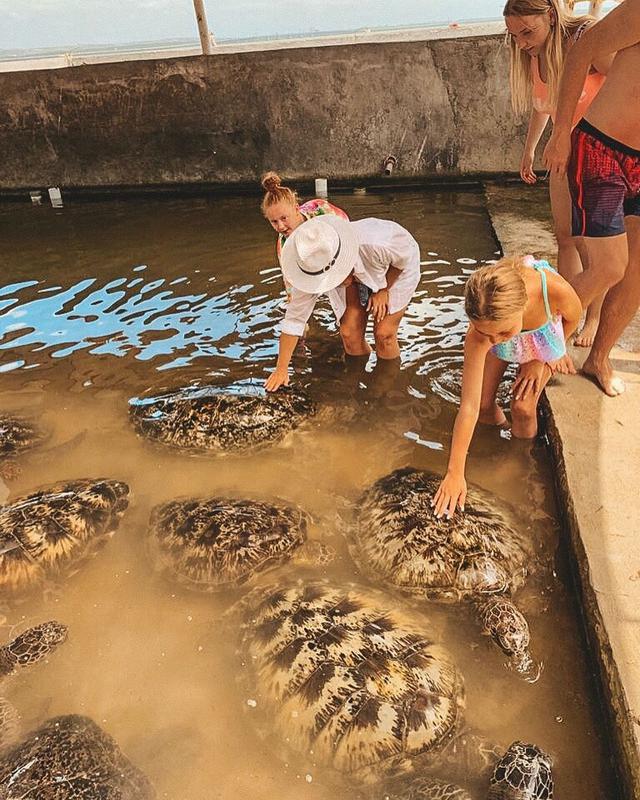 Turtle Island - Photo by @_vacationlife_