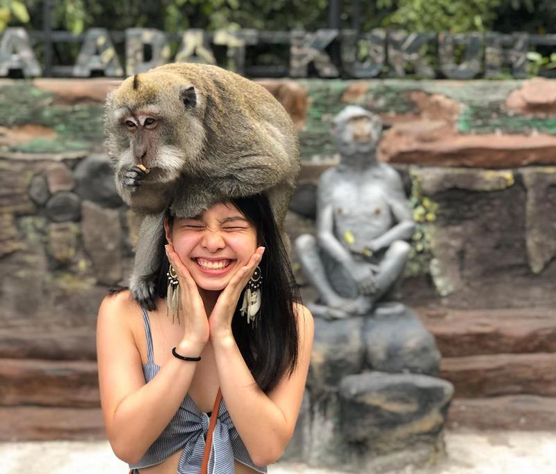 Alas Kedaton Monkey Forest - Photo by @andreasntg