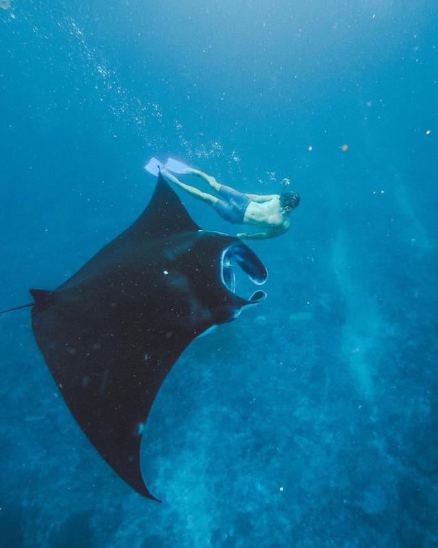 Swim With Mantas - Photo by @paupalau